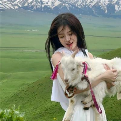 花与蛇